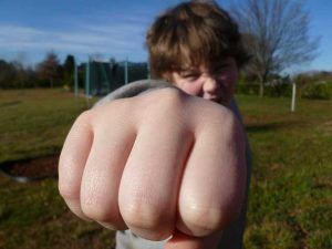 Ayuda Psicológica Bulling Acosador