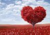 Emociones y sentimientos y su relación con el corazón emociones y sentimientos cerebro y corazón